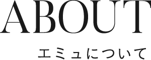 エミュについて