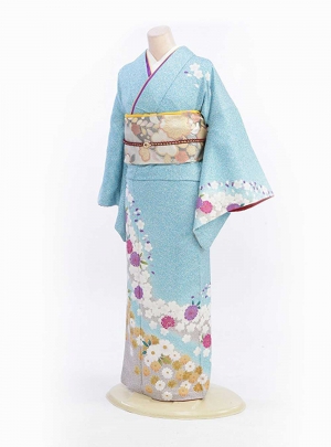 NK-HM009
