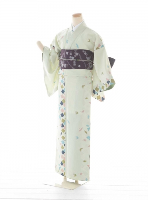 NK-CA001