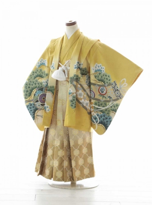 NK-WS5B019【319】