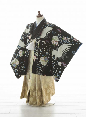 NK-WS5B014【321】