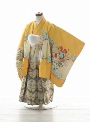NK-WS3B016【209】
