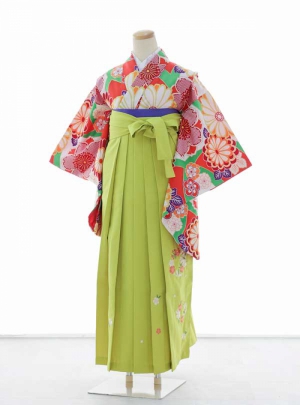 NK-WSDH042【120】