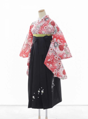 NK-WSDH046【125】