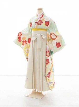 NK-WSDH001【C0343】