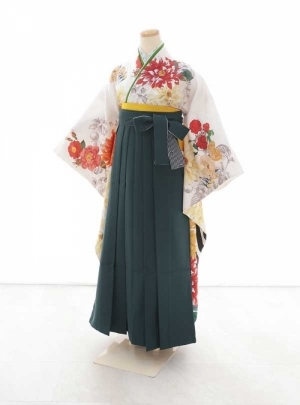 NK-WSDH002【C0344】　