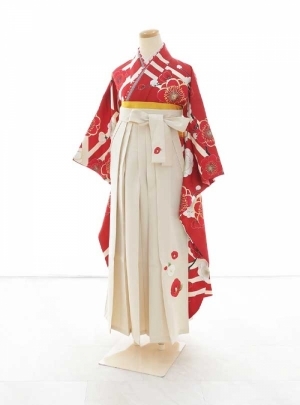 NK-WSDH005【C0206】