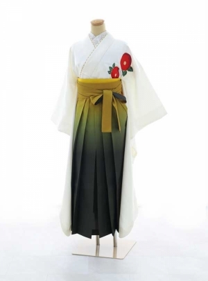 NK-WSDH006【C0374】